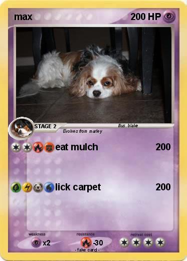 Pokemon max