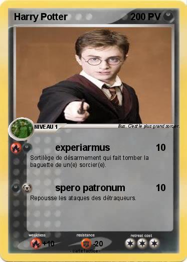 Pokemon Harry Potter