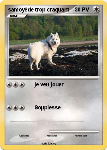 Pokemon samoyède trop craquant