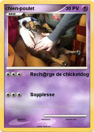 Pokemon chien-poulet