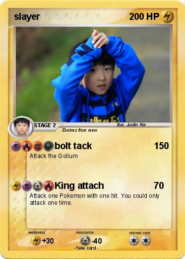 Pokemon slayer