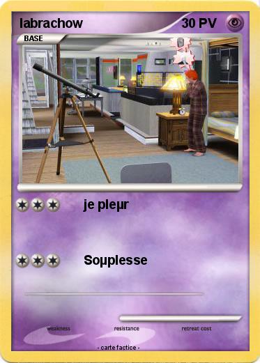 Pokemon labrachow