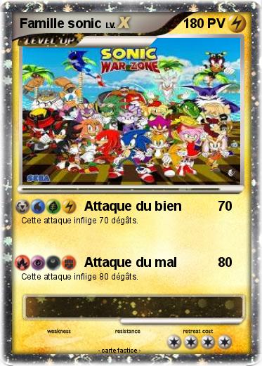 Pokemon Famille sonic