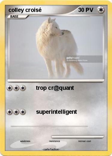 Pokemon colley croisé