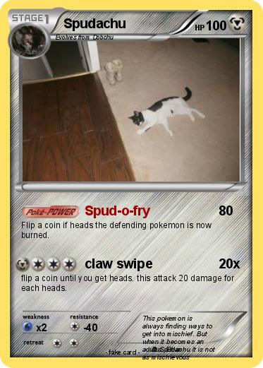 Pokemon Spudachu