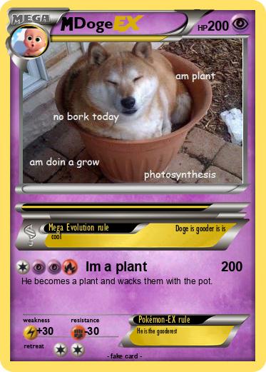 Pokemon Doge