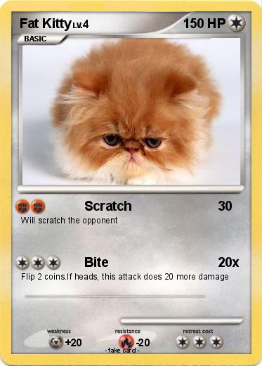 Pokemon Fat Kitty
