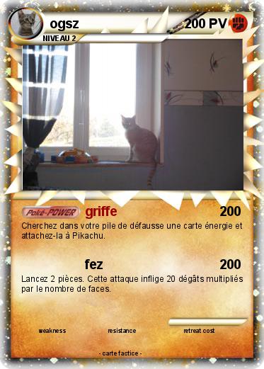 Pokemon ogsz