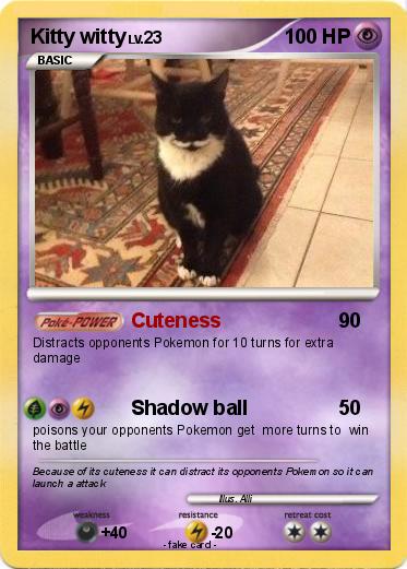 Pokemon Kitty witty