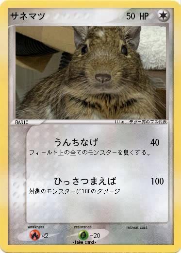 Pokemon サネマツ