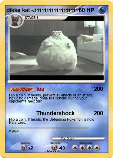 Pokemon dikke kat
