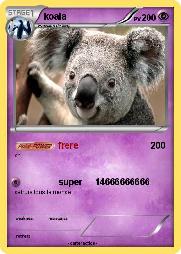 Pokemon koala