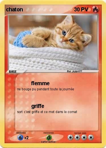 Pokemon chaton