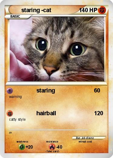 Pokemon staring -cat