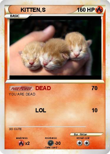 Pokemon KITTEN,S