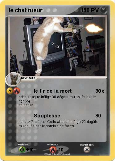 Pokemon le chat tueur