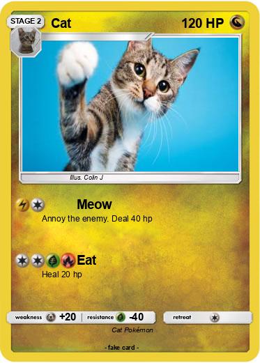 Pokemon Cat