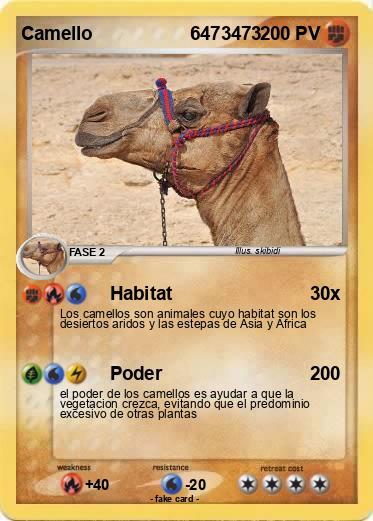 Pokemon Camello                   6473473