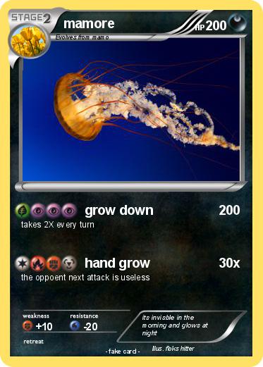 Pokemon mamore