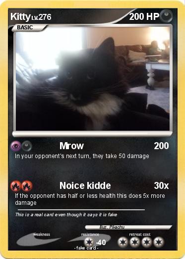 Pokemon Kitty