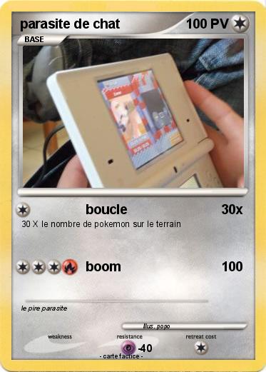 Pokemon parasite de chat