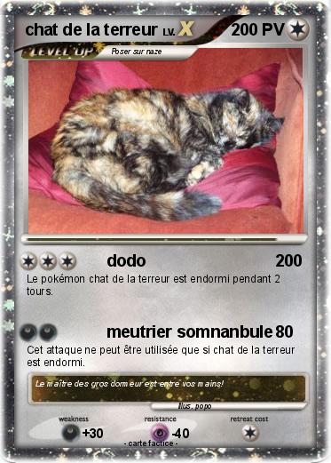 Pokemon chat de la terreur