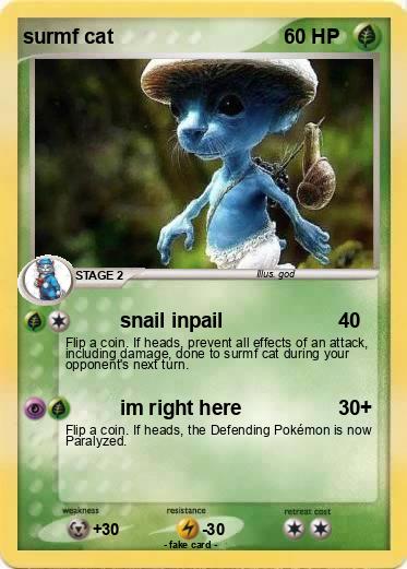 Pokemon surmf cat