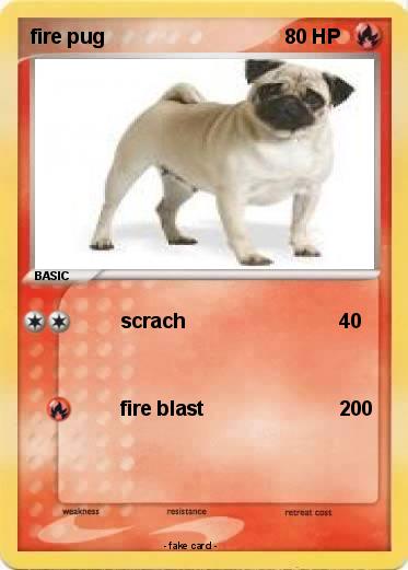 Pokemon fire pug