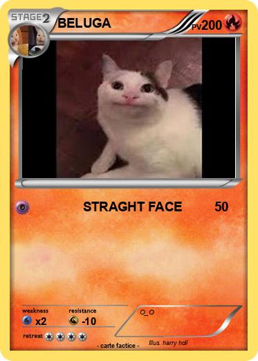 Pokemon BELUGA