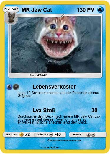Pokemon MR Jaw Cat
