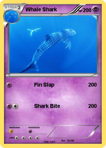 Pokemon Whale Shark