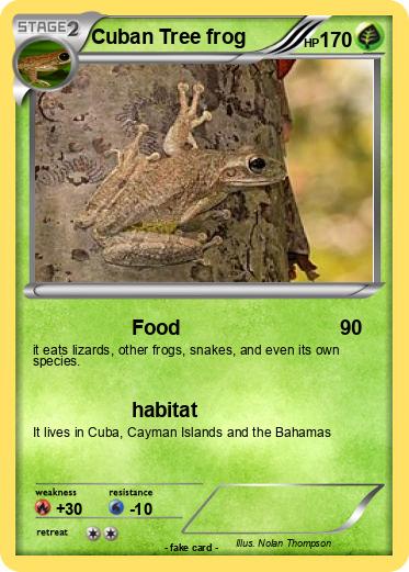 Pokemon Cuban Tree frog