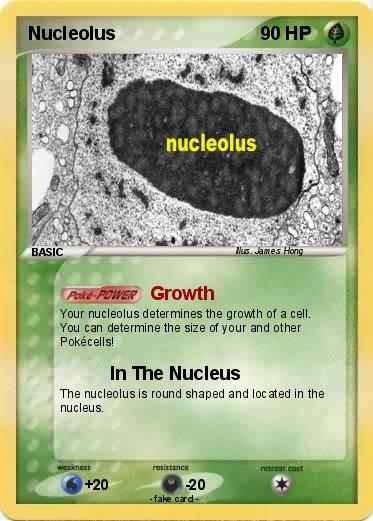 Pokemon Nucleolus