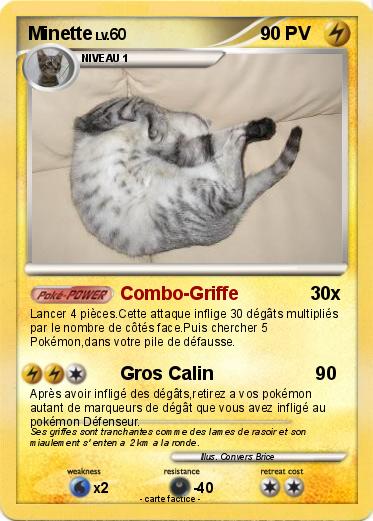Pokemon Minette