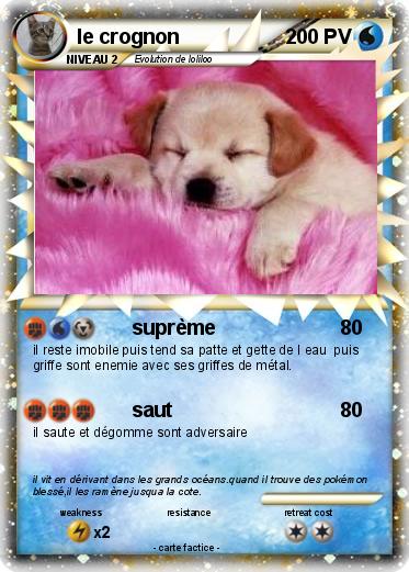 Pokemon le crognon