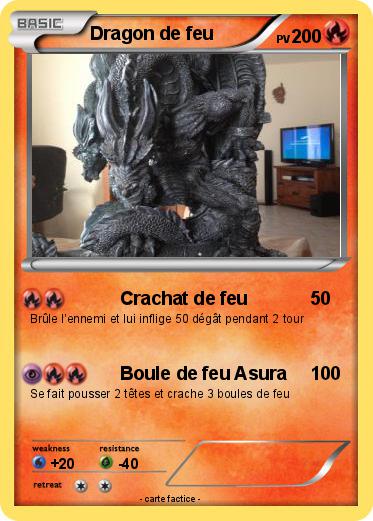 Pokemon Dragon de feu