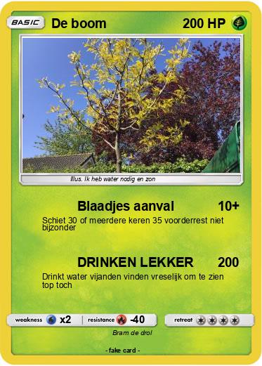 Pokemon De boom