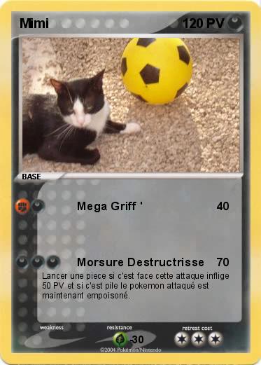 Pokemon Mimi