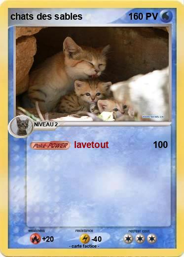 Pokemon chats des sables