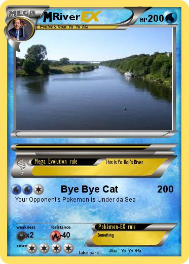 Pokemon River