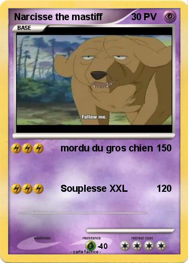 Pokemon Narcisse the mastiff