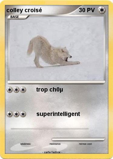 Pokemon colley croisé