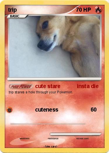 Pokemon trip