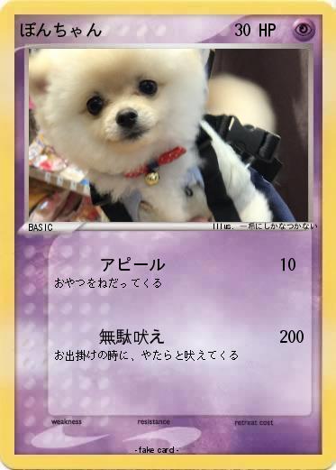 Pokemon ぽんちゃん