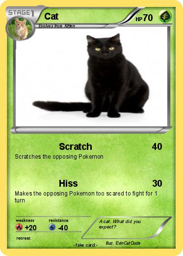 Pokemon Cat