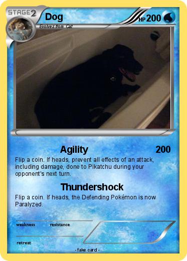 Pokemon Dog