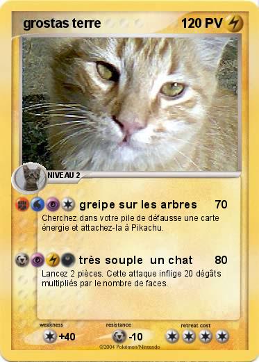 Pokemon  grostas terre