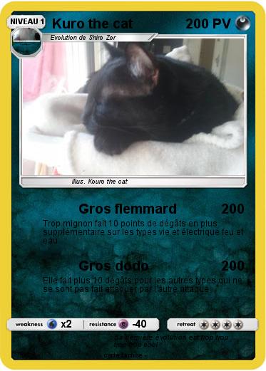 Pokemon Kuro the cat