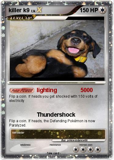 Pokemon killer k9