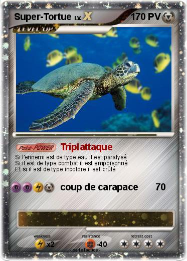 Pokemon Super-Tortue